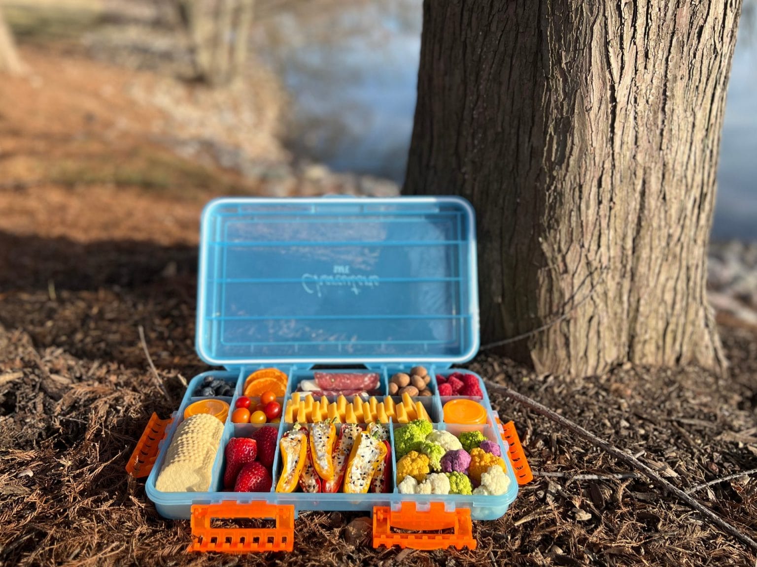 Snacks On The Go! Tackle Box Charcuterie Ideas ICA